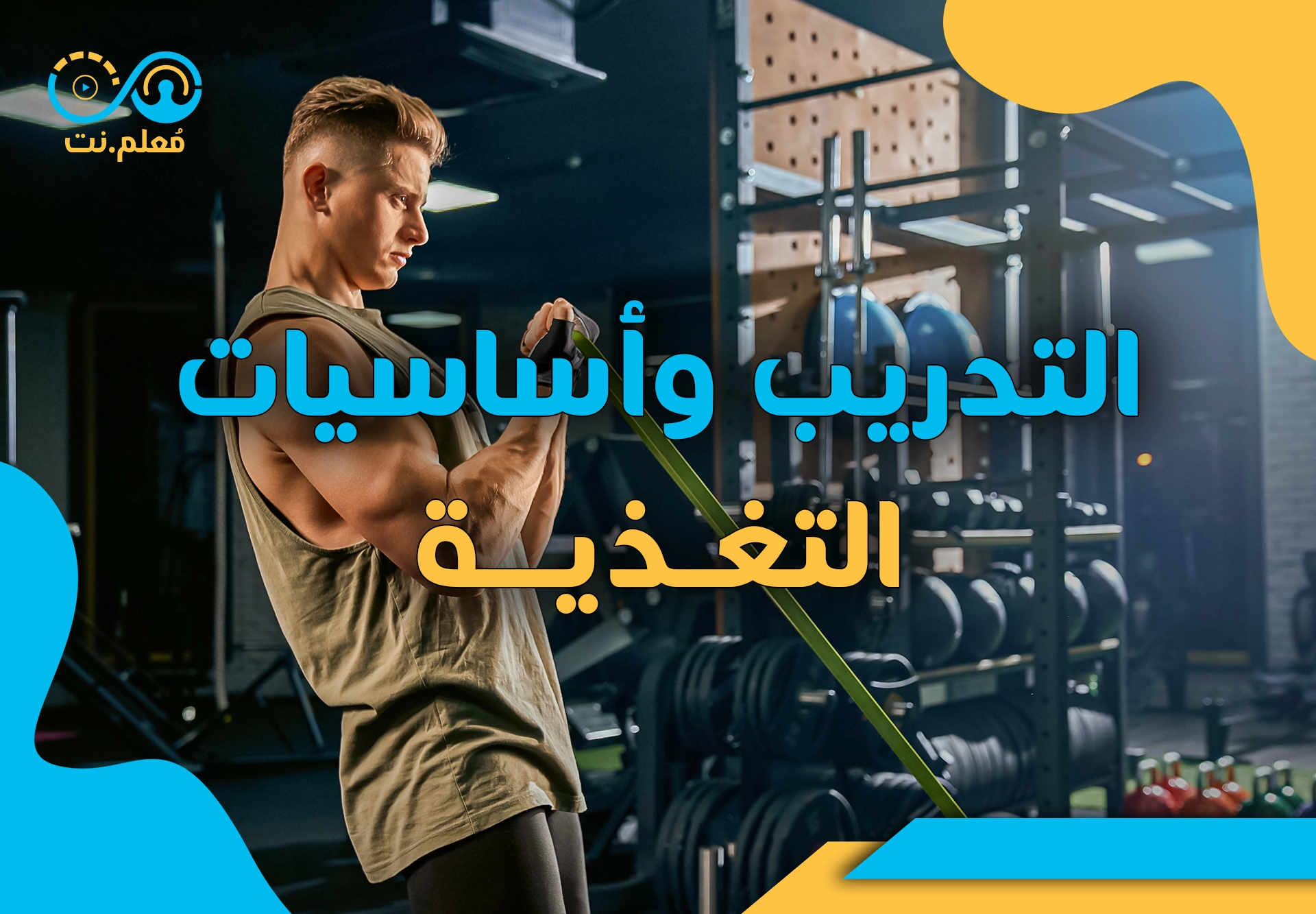 Workouts and Basics of Nutrition